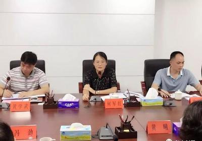 發揮嶺南旅游優勢，共筑封開旅游新篇章——嶺南集團調研封開旅游開發項目